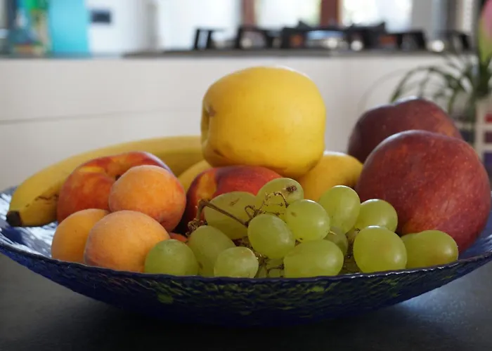 Al N°5 3* 特伦托